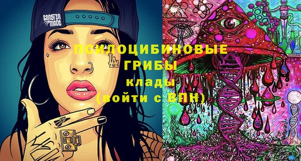 стаф Вязники