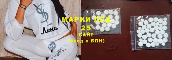 прущая мука Вяземский