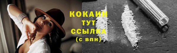 стаф Вязники