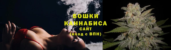 стаф Вязники
