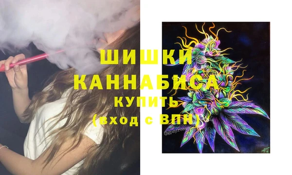 прущая мука Вяземский