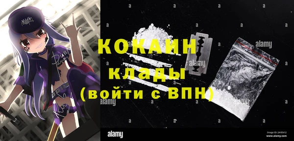 стаф Вязники