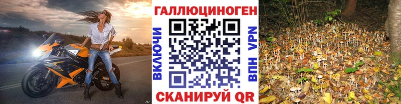 Галлюциногенные грибы прущие грибы  Купить где  Спас-Клепики 